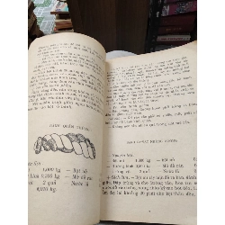 Hướng dẫn làm bánh - Cục ăn uống và phục vụ công cộng 1026150