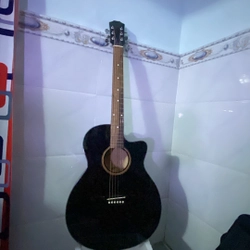 Gujtar acoustic 