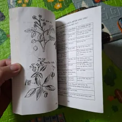 Đông Y Trị Ung Thư: Những Bài Thuốc Đông Y Cho Mọi Nhà 1027665