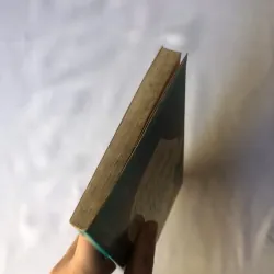 Hủy Hoại Vì Yêu - Amélie Nothomb 799240