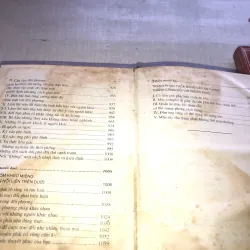 Phép màu nhiệm của giới mày râu 778519