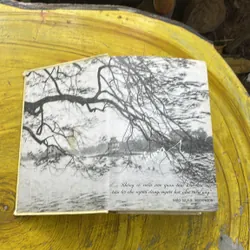 TỪ ĐIỂN ANH- VIỆT ENGLISH-VIETNAMESE DICTIONARY  737086