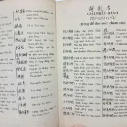 HƯỚNG DẪN VIẾT, ĐỌC VÀ DỊCH HÁN NÔM TRONG Y HỌC ĐÔNG PHƯƠNG - Lê Quý Ngưu - Lương Tú Vân 591731