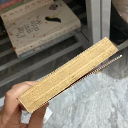 Người xa lạ và em - Meggie Phạm 957843