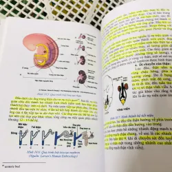 PHÔI THAI HỌC 799117