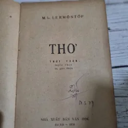 Theo Lermontov  748342