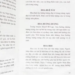 Thế giới Hoa & biểu tượng 14982