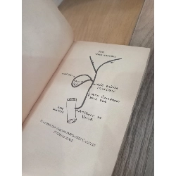 Bistouri Blues - Kleinmann, Vinson 1011022