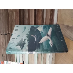 Flight - Kazu Kibuishi 781791