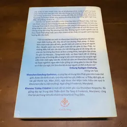 Một hướng dẫn đầy đủ về con đường Phật pháp 719098