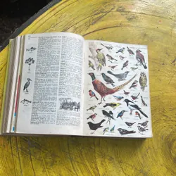 PETIT LAROUSSE- bìa cứng xuất bản năm 1961 596097