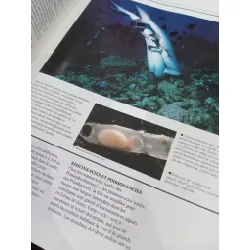 Le grand livre des poissons 559768