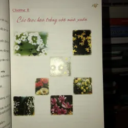 Phương pháp trồng 100 loài hoa trong chậu - Lưu Chí Tùng 785795