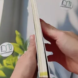 Hàn Quốc - Đi về phía bình minh - Hoa Học Trò 1018813