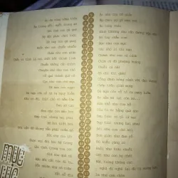 Sát thủ đầu mưng mủ  996828