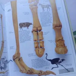 DK Eyewitness Guides 1041677
