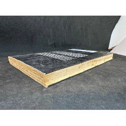 Bầu Trời Không Chỉ Có Màu Xanh, Lý Quí Trung, Mới 70% (Ố Vàng), 2015 SBM0803 913555