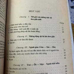 Những Kỳ Lạ Trong Thế Giới Sinh Vật 926223