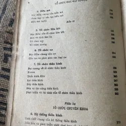 Tổ chức phôi thai học - sách y -650 trang  1020277