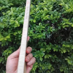 Hiền tập thơ nhạc của Nguyễn Thụy Kha 977169