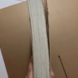 Bản sắc thục nữ 524387
