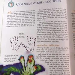 Sắp xếp nhà cửa theo phong thuỷ  720157