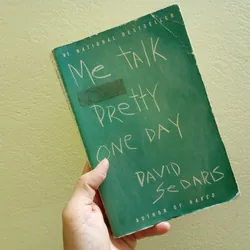 Me talk pretty one day, english book tiểu thuyết 