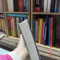 NƯỚC MỸ NGÀY NAY 795784