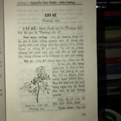 Những cây thuốc nam thông dụng dễ tìm và các bài thuốc gia truyền 781061