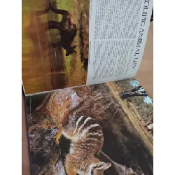Western Australia in colour - Michael Morcombe, Osmar White 575270