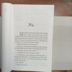 Cây bàng lá đỏ 996479