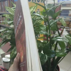 MỘT SỐ VẤN ĐỀ KHẢO CỔ HỌC Ở MIỀN NAM VIỆT NAM PHẦN 3 1033518