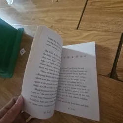 Little Owl Needs a Home Giá 20k  604027