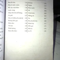 Chữa bệnh từ cây cỏ vườn nhà và bài thuốc gia truyền - Hải Quỳnh 1005367