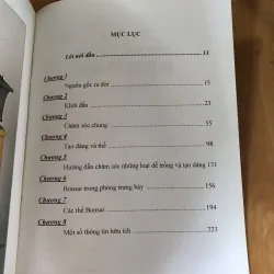 Chăm sóc tạo dáng bonsai toàn tập 973617