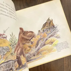 ✨𝑷𝒍𝒂𝒕𝒆𝒐𝒔𝒂𝒖𝒓𝒖𝒔: 𝑨𝒏𝒅 𝑶𝒕𝒉𝒆𝒓 𝑬𝒂𝒓𝒍𝒚 𝑳𝒐𝒏𝒈-𝒏𝒆𝒄𝒌𝒆𝒅...✨ 715392