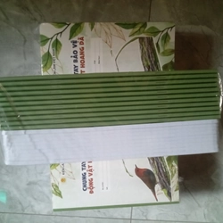 Vở kẻ ngang 80 trang (20 quyển) 548475
