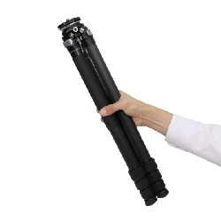 ＴＡ２８４ＣＬＥＪ - Hàng hiệu Authentic 879946