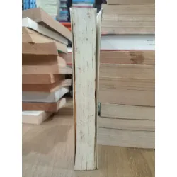 JASMINE NIGHTS - S.P. Somtown 195875