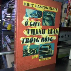 Ở giữa thanh xuân trống rỗng - Bret Easton Ellis