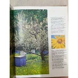 Lev Tolstoy and Yasnaya Polyana 609460