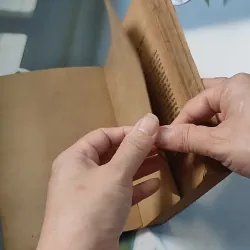 [XƯA] Homo Faber (1986) - Max Frisch 776069