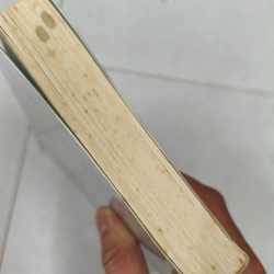 Mùa đông ấm hoa sẽ noở 413646
