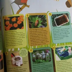 Ready, Steady, Grow! Quick and Easy Gardening Projects 1002061