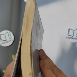 Cô gái đến từ hôm qua - Nguyễn Nhật Ánh 798382