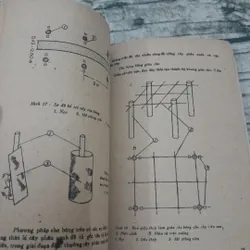 Kỹ thuật trồng tiêu. Chủ biên Phan Hữu Trinh. NXB Nông nghiệp 1988 695444