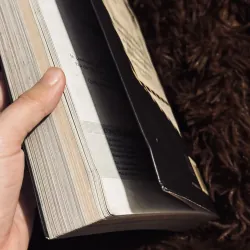 Chuyện bình thường và những hồi ức.... 1022234