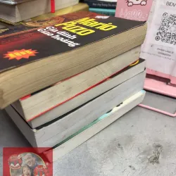 Combo mario puzo 1030972