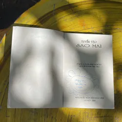 TUYỂN TẬP SAO MAI 735826