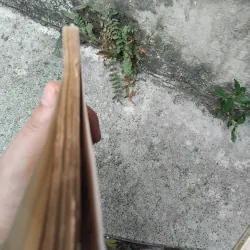 Quang Dũng người và thơ ( bản in đầu ) 1023975